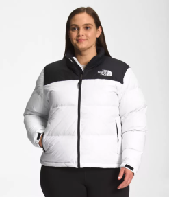 The North Face בתוספת ז'קט רטרו נפטסי משנת 1996