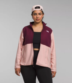 The North Face בתוספת ז'קט alpine polartec 100