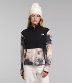 The North Face alpine polartec 100 כיסוי רוכסן