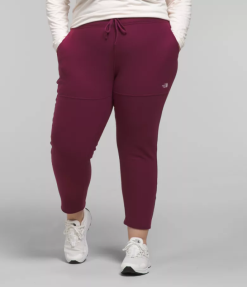 The North Face בתוספת מכנסי polartec 100 אלפיני