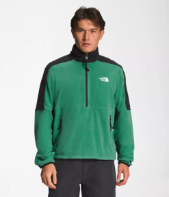 The North Face tnf polartec 100 -zip