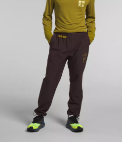 The North Face trailwear okt joggers